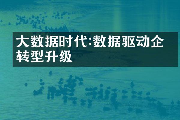 大数据时代:数据驱动企业转型升级