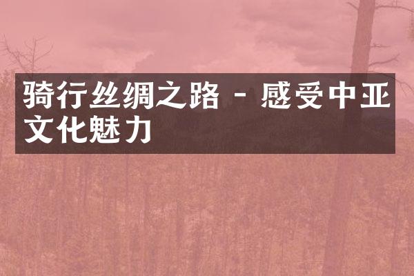 骑行丝绸之路 - 感受中亚文化魅力