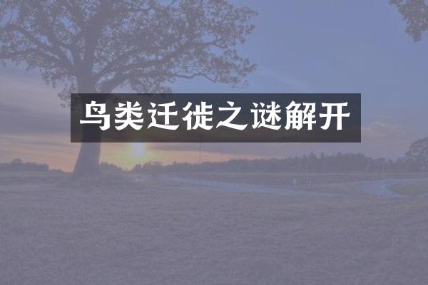 鸟类迁徙之谜解开
