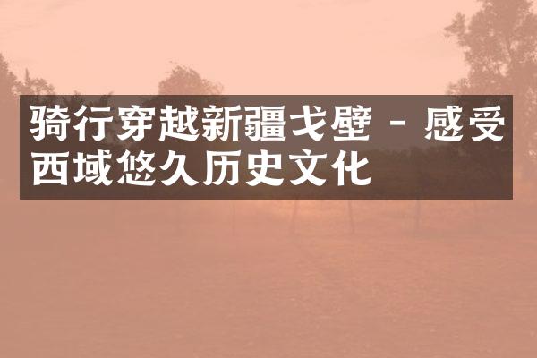 骑行穿越新疆戈壁 - 感受西域悠久历史文化