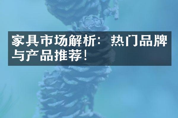 家具市场解析：热门品牌与产品推荐！