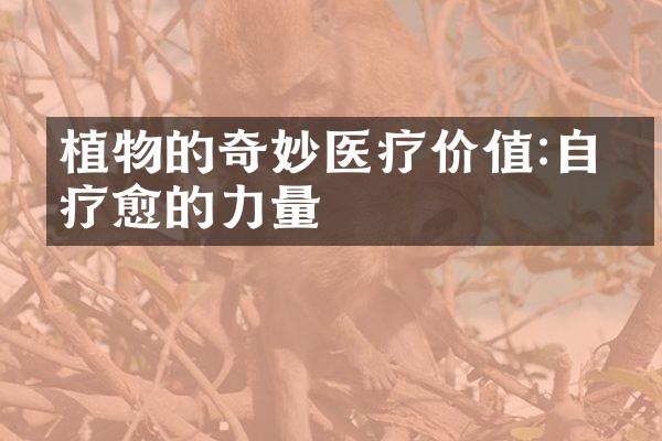 植物的奇妙医疗价值:自然疗愈的力量