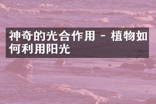神奇的光合作用 - 植物如何利用阳光