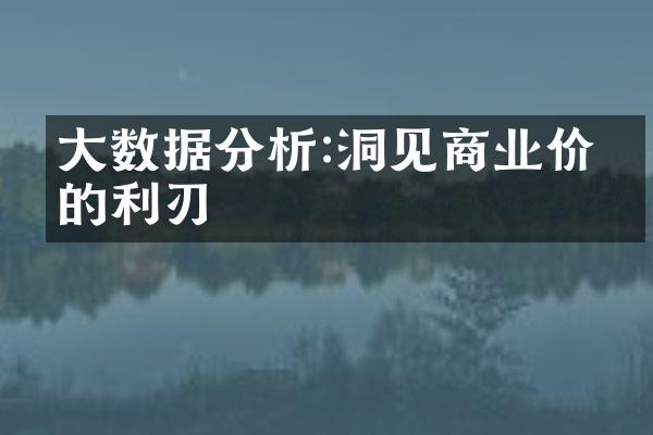 大数据分析:洞见商业价值的利刃