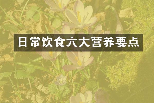 日常饮食六大营养要点