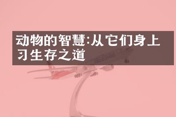 动物的智慧:从它们身上学习生存之道