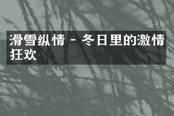 滑雪纵情 - 冬日里的激情狂欢
