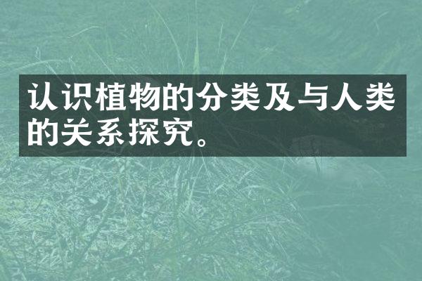 认识植物的分类及与人类的关系探究。