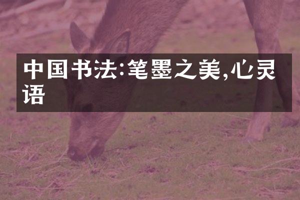 中国书法:笔墨之美,心灵之语