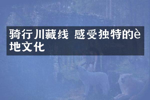 骑行川藏线 感受独特的藏地文化