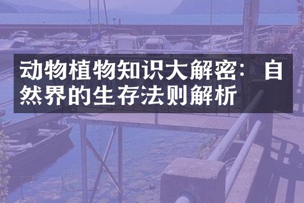 动物植物知识大解密：自然界的生存法则解析