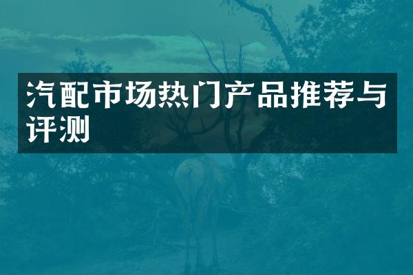 汽配市场热门产品推荐与评测