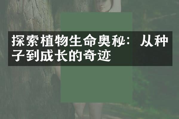 探索植物生命奥秘：从种子到成长的奇迹
