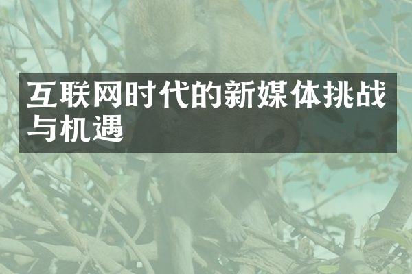 互联网时代的新媒体挑战与机遇