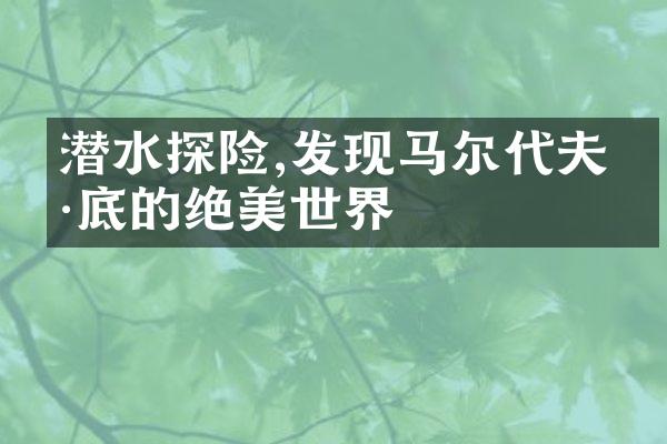 潜水探险,发现马尔代夫海底的绝美世界