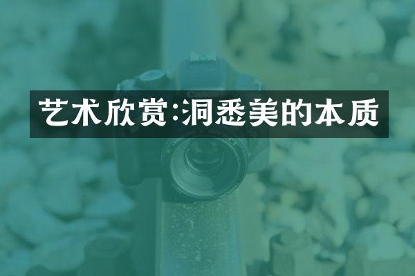 艺术欣赏:洞悉美的本质