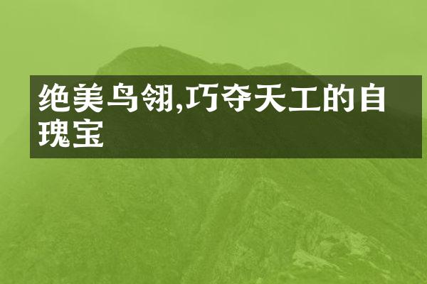 绝美鸟翎,巧夺天工的自然瑰宝