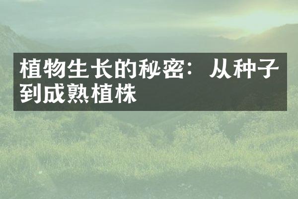 植物生长的秘密：从种子到成熟植株