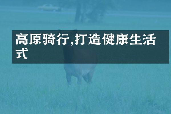 高原骑行,打造健康生活方式