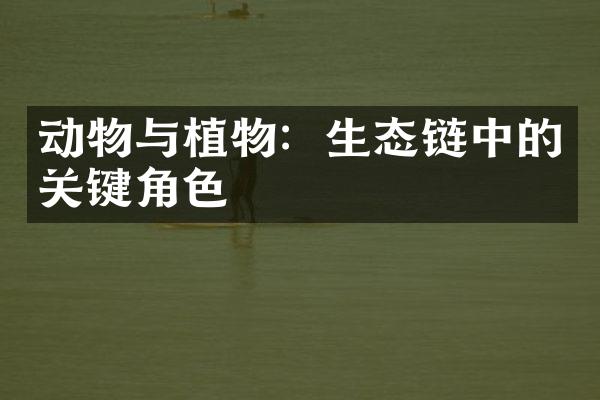 动物与植物：生态链中的关键角色