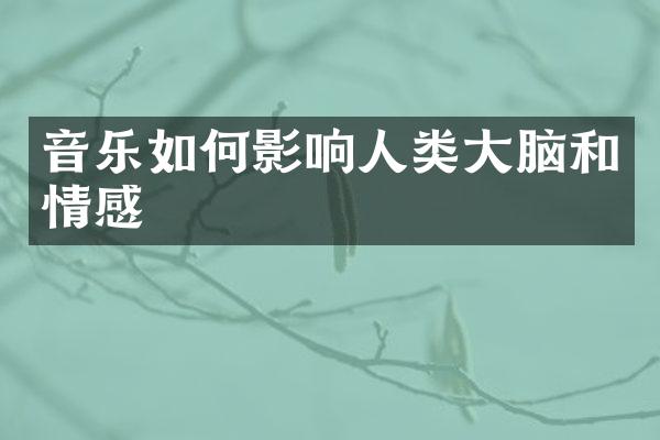 音乐如何影响人类大脑和情感