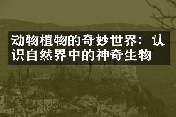 动物植物的奇妙世界：认识自然界中的神奇生物