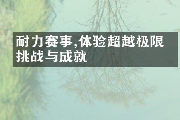 耐力赛事,体验超越极限的挑战与成就