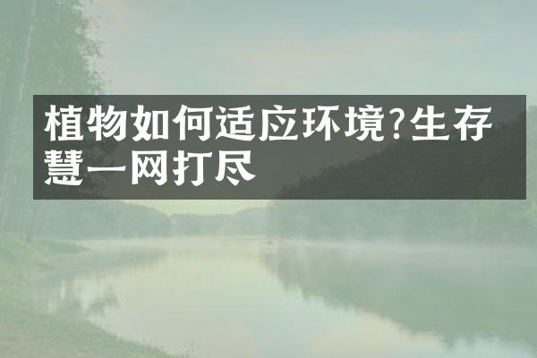 植物如何适应环境?生存智慧一网打尽