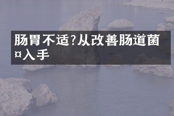 肠胃不适?从改善肠道菌群入手