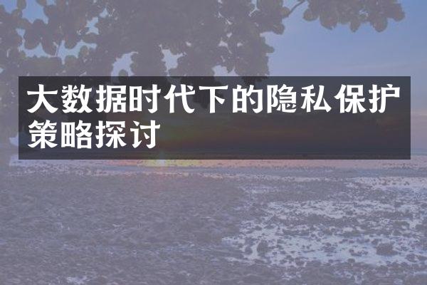 大数据时代下的隐私保护策略探讨