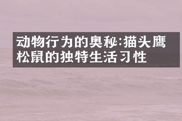 动物行为的奥秘:猫头鹰、松鼠的独特生活习性