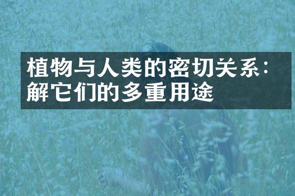植物与人类的密切关系:了解它们的多重用途