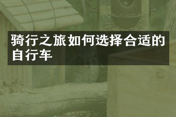 骑行之旅如何选择合适的自行车
