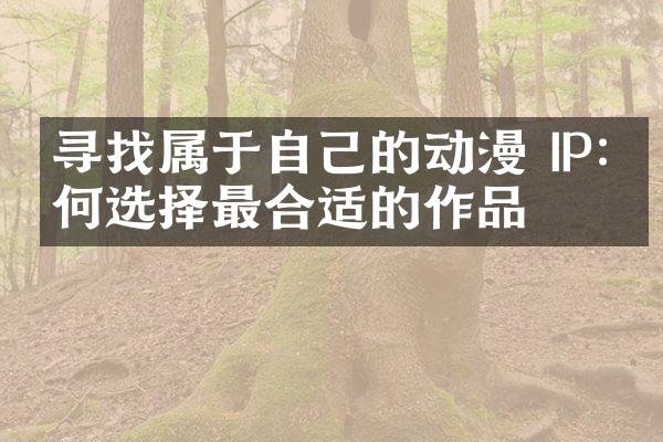 寻找属于自己的动漫 IP:如何选择最合适的作品