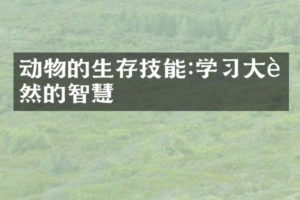动物的生存技能:学习大自然的智慧