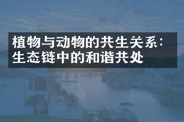 植物与动物的共生关系：生态链中的和谐共处