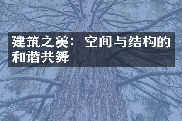 建筑之美：空间与结构的和谐共舞
