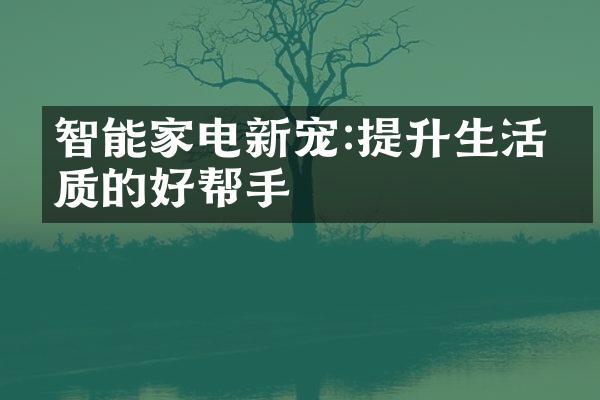 智能家电新宠:提升生活品质的好帮手