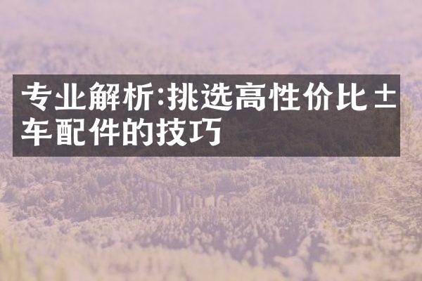 专业解析:挑选高性价比汽车配件的技巧