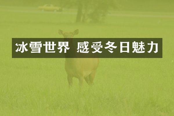 冰雪世界 感受冬日魅力