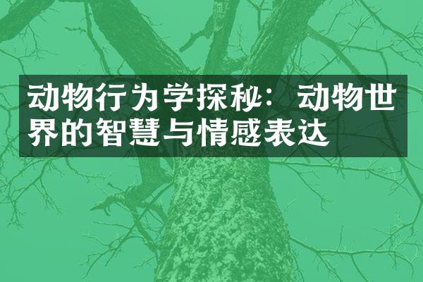 动物行为学探秘：动物世界的智慧与情感表达