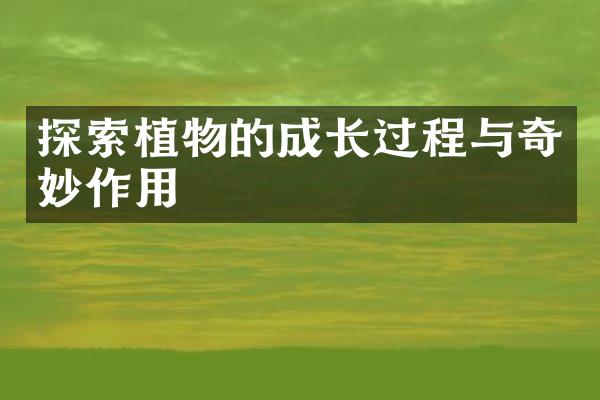 探索植物的成长过程与奇妙作用