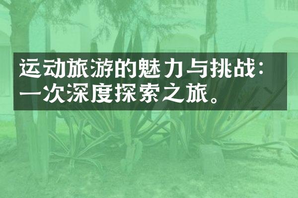 运动旅游的魅力与挑战：一次深度探索之旅。