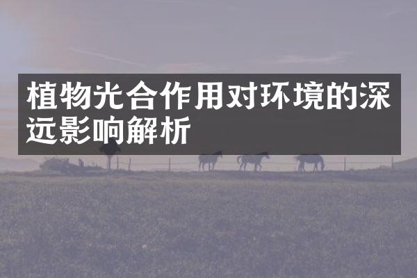 植物光合作用对环境的深远影响解析