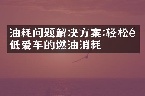 油耗问题解决方案:轻松降低爱车的燃油消耗