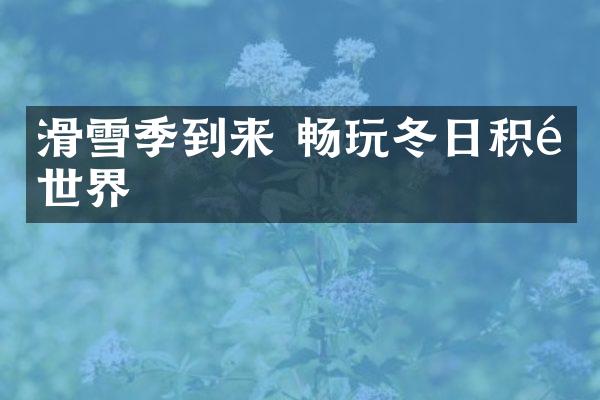 滑雪季到来 畅玩冬日积雪世界