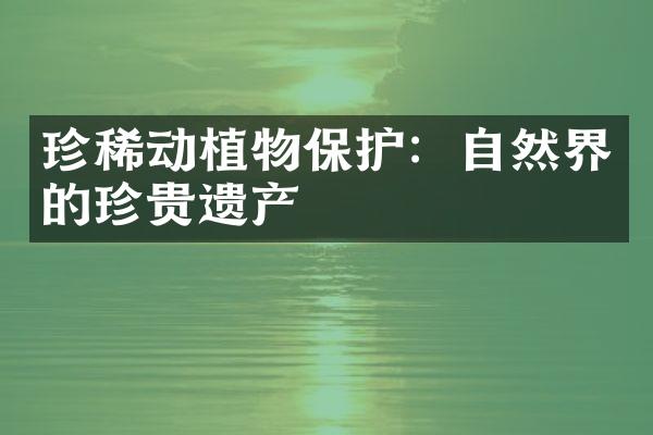 珍稀动植物保护：自然界的珍贵遗产
