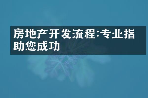 房地产开发流程:专业指导助您成功