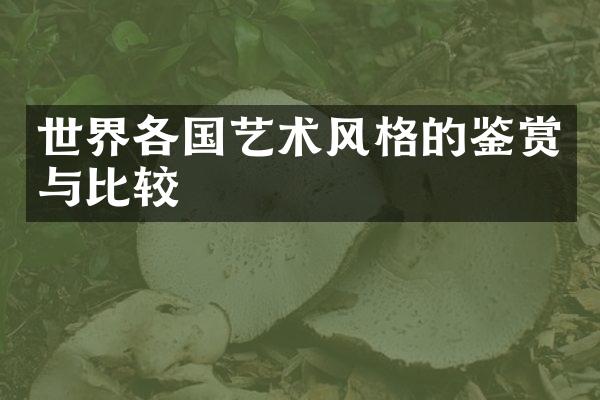 世界各国艺术风格的鉴赏与比较