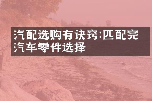 汽配选购有诀窍:匹配完美汽车零件选择